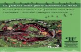 Aree Umide della Toscana Settentrionale - Quaderni del Padule di … · 2010-12-01 · rosso della Louisiana che ha permesso di conoscere la situazione attuale circa la distri-buzione