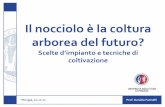 Il nocciolo è la coltura arborea del futuro?dsa3.unipg.it/wp-content/uploads/Agraria_day/farinelli_111117.pdf · Tombesi, Daniela Farinelli, Mirco Boco, Andrea Sforna, Sergio Tombesi)