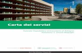 Carta dei servizi - Policlinico Sant'Orsola-Malpighii ricercatori e i medici universitari; vi si effettuano circa 65.000 ricoveri all’anno e oltre 3.000.000 di prestazioni specialistiche