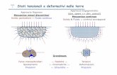 MdC Stati tensionali e deformativi nelle terre · 2017-02-25 · MdC 3 I tensori t e d sono legati tra loro dal legame costitutivo del mezzo Tensione e deformazione nel mezzo continuo