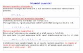 Numeri quantici - University of Cagliari...sono a due lobi (l=1), e 5 sono a quadrifoglio (l=2) Configurazioni elettroniche di atomi polielettronici Si può immaginare di costruire