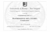 Università di Roma – Tor Vergata · Trasmissione del calore - Conduzione Il calore è quella forma di energia che si manifesta nel passaggio da un corpo ad un altro quando fra