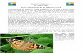 Album autunno 2014 ITA - Diario di un naturalista · movimenti di massa, con milioni di farfalle in volo su tutta l’Europa; l’ultima volta accadde nella primavera 2009 e fu evidente