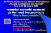 Materiali ceramici avanzati da Polimeri Preceramici …1 Forum Nazionale dei Giovani Ricercatori di Scienza e Ingegneria dei Materiali Parma, 15-16 Giugno 2006 Materiali ceramici avanzati