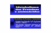 Metabolismo das Proteínas e aminoácidos · 2011-12-23 · Metabolismo das Proteínas e aminoácidos Compostos à base de C, H, O e N com funções importantes no organismo animal