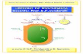 LEZIONI DI BIOCHIMICA Docente: Prof D.F.Condorelli · 2012-01-17 · protein chinasiche nella regolazione della glicogenolisi 11. Le attività della glicogeno sintasi e della glicogeno