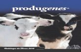 Catálogo de Toros 2016 - ProdugenesBeta Caseina A2A2 HBA RPS/I GM$ +666 FM$ +657 EFI 7.0% CM$ +690 Feed Ef. +134 gEFI 7.2% Leche +1693 Grasa Lbs +47 Proteína Lbs +56 Conf. 78% Grasa%