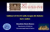 Inibitori di SGLT2 nella terapia del diabete: luci e ombre - Bonora Benedetta - Inibitori... · Inibitori di SGLT2 nella terapia del diabete: luci e ombre. Benedetta Maria Bonora.
