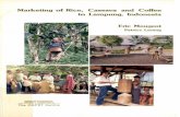 Marketing of rice, cassava and coffe in Lampung, …horizon.documentation.ird.fr/exl-doc/pleins_textes/...Marketing of Riee, Cassava and Coffee in Lampung, Indonesia Eric Mougeot Patrice