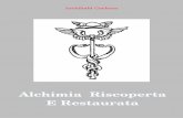 Alchimia Riscoperta e Restaurata - Onironir.it/pdf/AlchimiaReR.A4.pdf · 2013-09-04 · capitolo v. paracelso 25 capitolo vi. l'alchimia nel 16o e 17o secolo 27 capitolo vii. alchimisti