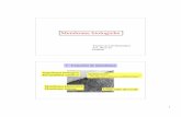 3) Membrane biologiche - unibo.itapollo11.isto.unibo.it/Tecnicidilaboratorio/3) Membrane biologiche.pdf · 3 Struttura delle membrane biologiche Struttura sovra-molecolare fosfolipidi