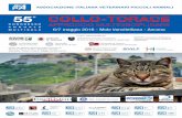 ASSOCIAZIONE ITALIANA VETERINARI PICCOLI ANIMALI 55 … · gruppo di studio di oncologia ft gruppo di studio di fisioterapia anc animali non convenzionali odt odontostomatologia ge