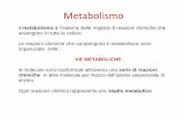 Metabolismo - univpm.it · Metabolismo Il metabolismo è l’insieme delle migliaia di reazioni chimiche che avvengono in tutte le cellule. Le reazioni chimiche che compongono il