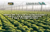 Coordinatore: Ferdinando Pimpini · 7 Presentazione Tra i compiti istituzionali affidati a Veneto Agricoltura, la ricerca e la sperimentazione occupano un ruolo predominante al fine