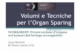 Volumi e Tecniche per l’Organ Sparing - Congressi AIRO · 2019-04-10 · Structures seen on indirect laryngoscopy (in order): Base of the tongue (posterior one-third of the tongue)