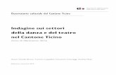2018 Indagine sui settori della danza e del teatro nel Cantone … · 2018-11-28 · Osservatorio culturale del Cantone Ticino | Indagine sui settori della danza e del teatro - Anno