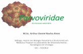 Parvoviridae de interesse veterináriovirologia.sites.uff.br/wp-content/uploads/sites/236/2019/10/Parvoviridae.pdf · Virologia Veterinária. 2017 Parvovírus Suíno (PPV) Soro(-)
