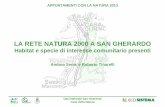 LA RETE NATURA 2000 A SAN GHERARDO - ecosistema.it · Verso la Rete "Natura 2000" • La Direttiva Habitat prevede all’Art. 3 la costruzione Rete Natura 2000, un network europeo