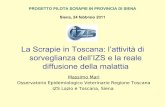 La Scrapie in Toscana: l’attività di sorveglianza dell’IZS ...old.iss.it/binary/scra/cont/MARI_SIENA_24_FEBBARIO_2011.pdf · • Ciò significa che teoricamente dei 568 allevamenti