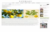  · Tuscany (Perfume Review) Profumerie Top Le migliori profumerie selezionate dalla nostra Il Limone. Il principe delle note citriche La pioggia stanca la terra, di poi; s'affolta