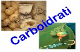 Il principale ciclo energetico della biosfera...Il principale ciclo energetico della biosfera si basa sul metabolismo dei carboidrati L’ossidazione dei carboidrati è la più importante