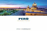 Scheda Paese - Escambium · 2018-06-11 · Cusco, Arequipa, Chiclayo, Piura e Tacna. VOLUME INVESTIMENTI STRANIERI NEL PAESE 22,3 Miliardi di EUR DIVISE DI USO COMUNE Soles e Dollari