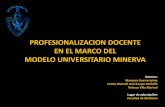 PROFESIONALIZACION DOCENTE EN EL MARCO DEL …cmas.siu.buap.mx/portal_pprd/work/sites/pdi/resources/LocalContent/67/2/puebla_foro6...• Inclusión en el Programa de Formación Docente