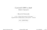 Comandi UNIX e shellComandi UNIX e shell Sistemi Operativi Mario Di Raimondo C.d.L. in Informatica (laurea triennale) Dipartimento di Matematica e Informatica { Catania A.A. 2010-2011