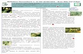 Bollettino fitosanitario n. 22 del 28/08/2019 - Area Alta ... · quinocil, abamectina, bifenazate. (questi ultimi, tutti prodotti con 3 gg di I.S.). Nottua gialla (Helicoverpa armigera):