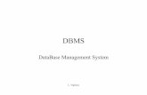 DBMS - Informatica · DBMS • Un DataBase Management System è un sistema di gestione il cui obiettivo generale è mantenere le informazioni (ovvero qualsiasi cosa sia ritenuta interessante