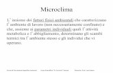 Microclima...Microclima • La valutazione delle condizioni microclimatiche negli ambienti di lavoro si basa sul concetto di confort climatico o benessere termico.• Il benessere