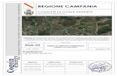 COMUNE DI COLLE SANNITA - Campaniaviavas.regione.campania.it/opencms/export/sites/default/... · 2017-03-19 · Progetto per la realizzazione di un parco eolico in località “Monte