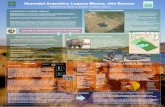 Humedal Argentino: Laguna Blanca, sitio Ramsar...zooplancton pastoreador (animales del plancton que se alimentan de algas) y a un aumento de las algas. A su vez, los peces que se alimentan