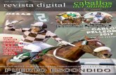 G.P. Int. Carlos PelleGrInI (G1) G.P. Joaquín s. de anChorena (G1)caballosdelmundo.com/revista/revistadigitalcdm_398.pdf · 2017-12-20 · muserola blanca, que a la hora de cruzar