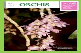 orchis - Alao · 1830 fu poi riclassificata da John Lindley sotto il genere Coelogyne. A quel tempo il genere Coelogyne contava sette specie. Nell’ anno 2000, quando venne riorganizzata