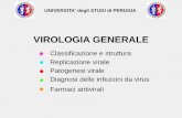 VIROLOGIA GENERALE · 2014-01-22 · denominazione dei virus struttura dimensioni, morfologia e tipo di acido nucleico ad es.: picornavirus = piccoli virus ad rna togavirus = virus