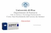Università di Pisa - unipi.itomero.farm.unipi.it/matdidFarm/57/Massantini GiuliaM.pdf · Università di Pisa Dipartimento di Farmacia CdL in Chimica e Tecnologia Farmaceutiche Corso: