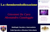 Giovanni De Caro Alessandro Casaleggio · 2013-09-26 · Principi della metodologia e meccanismo d'azione La chemio-embolizzazione (TACE), introdotta negli anni ‘70 (Dyon et al.,