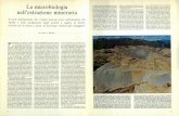 La microbiologia nell'estrazione minerariadownload.kataweb.it/mediaweb/pdf/espresso/scienze/1982... · 2011-09-16 · La microbiologia nell'estrazione mineraria ... rali grezzi. Per