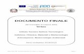 Documento finale - fermimn.edu.it finale 5… · Chimica organica e biochimica 4(2) 4(3) 4(2) Biologia, microbiologia e tecnologie di controllo ambientale 6(3) 6(3) 6(2) Fisica ambientale