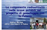 La componente radioattività nelle acque potabili nel progetto di ... · polacche, a cura del laboratorio dell’ARPA Lombardia. • Report che descrive i criteri di selezione delle