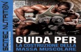 Guida per...Se volete aumentare la massa muscolare è particolarmente importante mantenere l’apporto alto di proteine (2-2,6 g per chilo di peso corporeo è un buon metodo di stima).