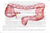 il TUMORE del COLON-RETTO · 2017-10-12 · il tumore del colon-retto il cancro col^oìmiale rappresenta la seconda causa di morte nei eatsi occidef^ali. la malatti/^bast>fe(za rara