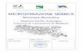 MICROZONAZIONE SISMICA - Modena · n° 8/2008) con il Servizio Geologico, Sismico e dei Suoli della Regione Emilia-Romagna, la Provincia di Modena e il CNR – Sezione di Milano,