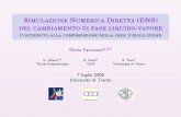 Gloria FACCANONI - Simulazione Numerica Diretta (DNS) del …faccanoni.univ-tln.fr/user/transparents/7luglio2006slide.pdf · SIMULAZIONE NUMERICA DIRETTA (DNS) DEL CAMBIAMENTO DI