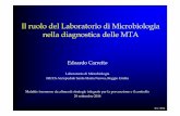 Il ruolo del Laboratorio di Microbiologia nella ...ruolo+del+Laboratorio+di... · Il ruolo del Laboratorio di Microbiologia nella diagnostica delle MTA Edoardo Carretto Laboratorio