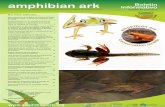 AArk Boletin Informativo amphibian ark Informativoamphibianark.org/Newsletters/AArk-newsletter-43-Spanish.pdfAArk Boletin Informativo Número 43, junio 2018 Reintroducción de la Rana