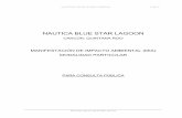 NAUTICA BLUE STAR LAGOONconsultaspublicas.semarnat.gob.mx/expediente/qroo/e... · 2016-07-13 · NAUTICA BLUE STAR LAGOON MIA-P Náutica Blue Star SA de CV 2 CONSULTA PÚBLICA I.