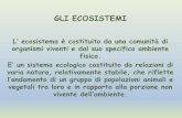 GLI ECOSISTEMI - Fata Morgana WEBsfp.unical.it/modulistica/LEZIONE_GLI ECOSISTEMI.pdf · L’ ecosistema è costituito da una comunità di organismi viventi e dal suo specifico ambiente