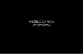 ANGELO CAROLI - SPA Sardegna€¦ · Inserire la linea cosmetica Angelo Caroli all’interno della propria struttura è sinonimo di qualità e professionalità. FILOSOFIA ANGELO CAROLI
